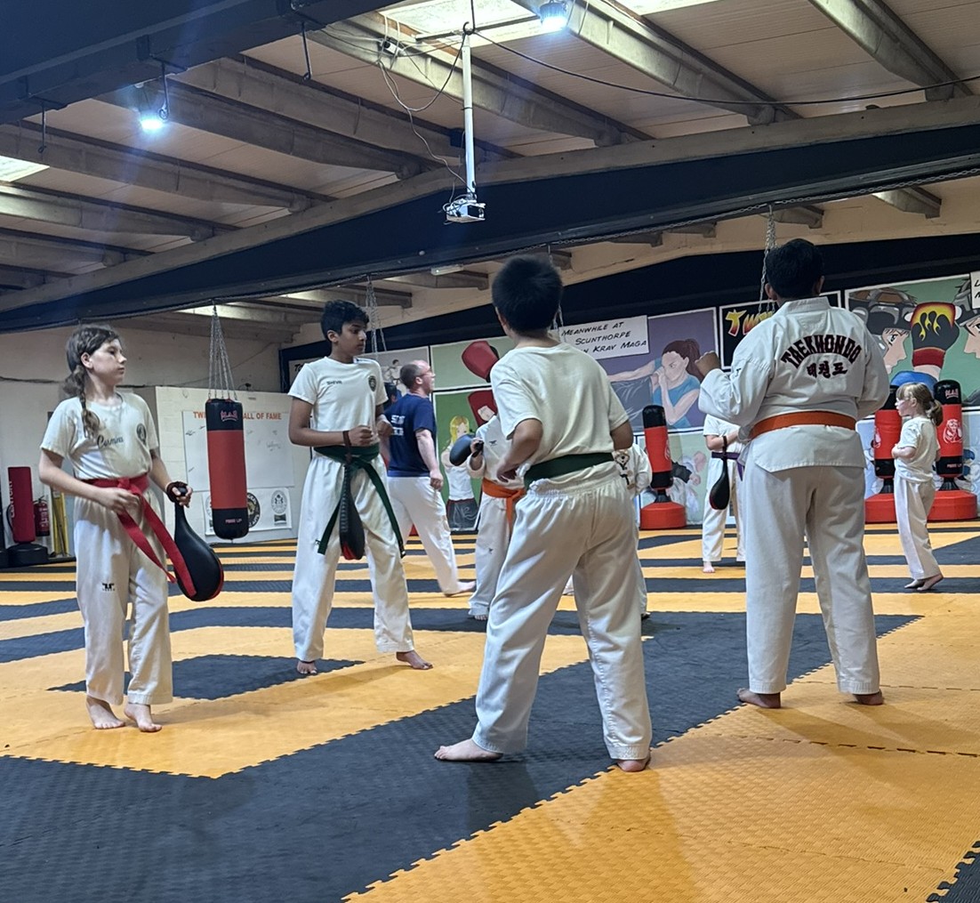 Twin Tigers training